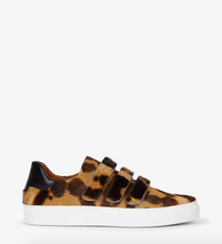 Pacha Tortoiseshell Pony Trainer