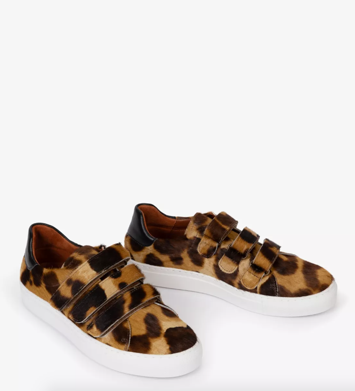 Pacha Tortoiseshell Pony Trainer