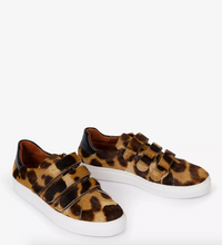 Pacha Tortoiseshell Pony Trainer