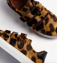 Pacha Tortoiseshell Pony Trainer