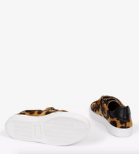 Pacha Tortoiseshell Pony Trainer