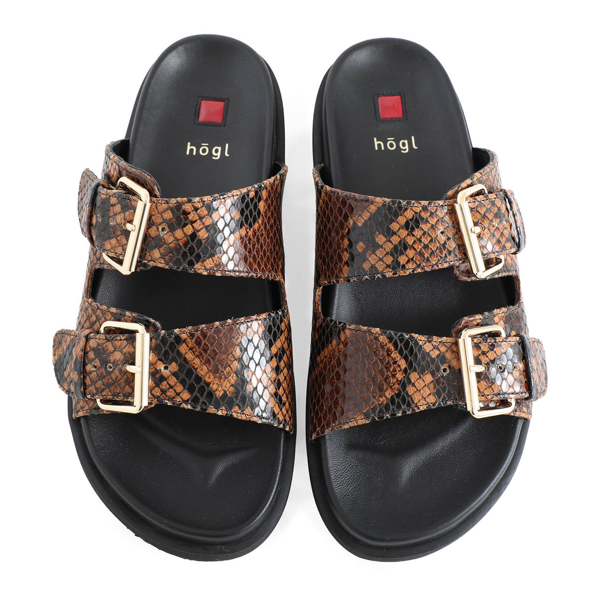 Pair of snake print sandals with gold buckles on a white background, featuring the högl brand.