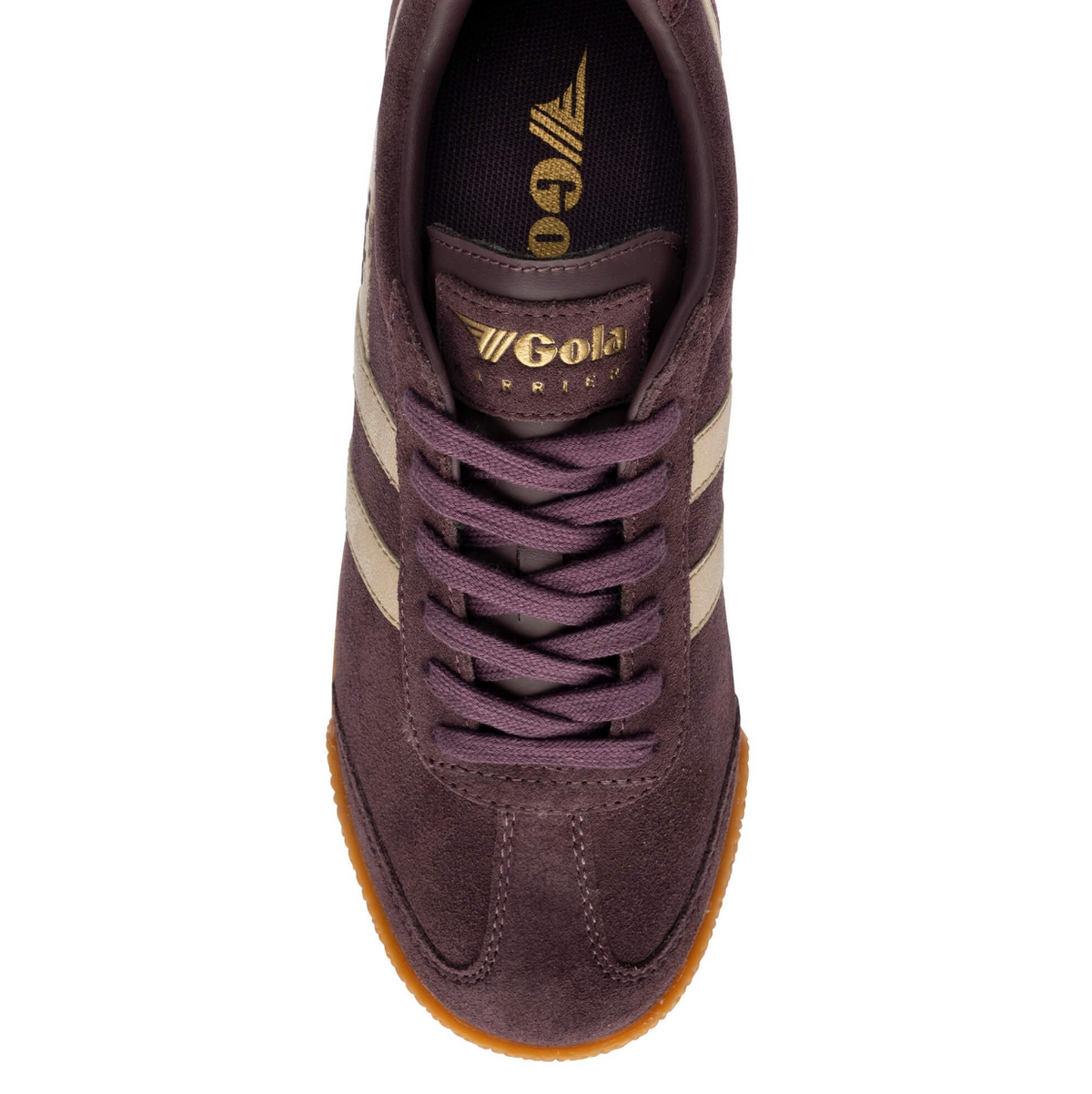 A  Gola Harrier low-top trainer in dark brown  plumb suede with gold side stripes, tonal laces, and a textured gum sole, available at The SHOE GALLERY